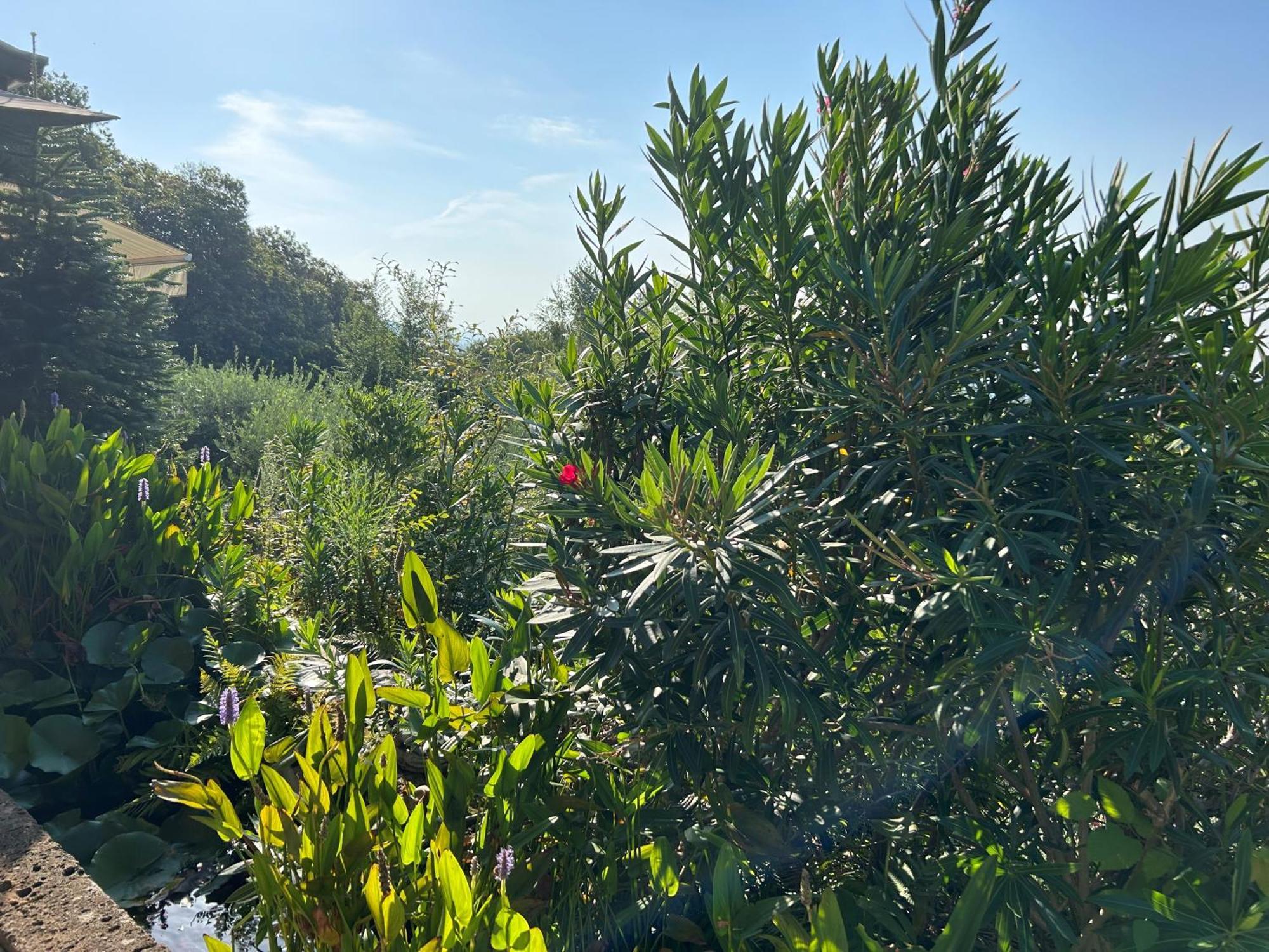 Agriturismo Al Robale Almenno San Bartolomeo Εξωτερικό φωτογραφία