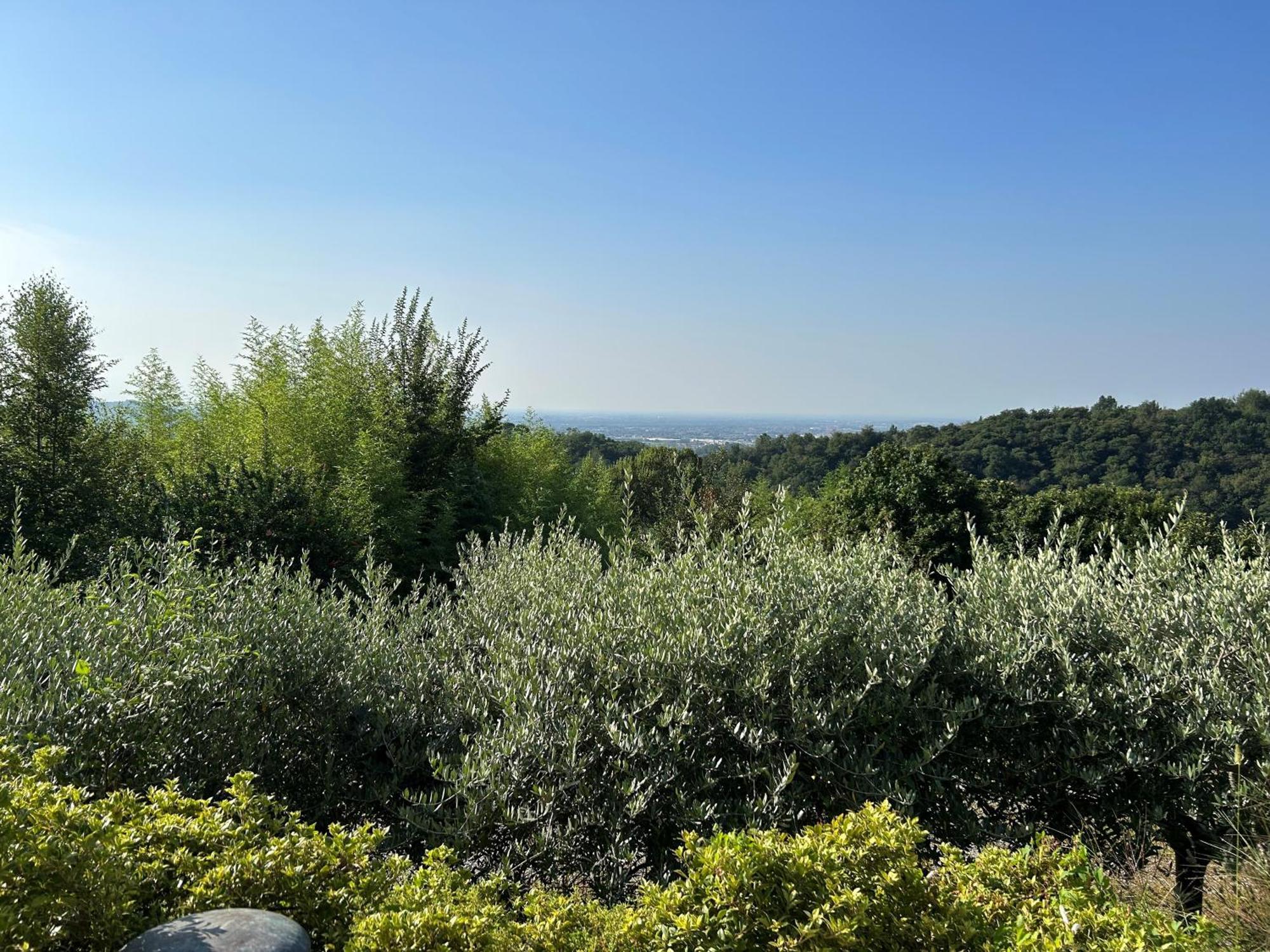 Agriturismo Al Robale Almenno San Bartolomeo Εξωτερικό φωτογραφία