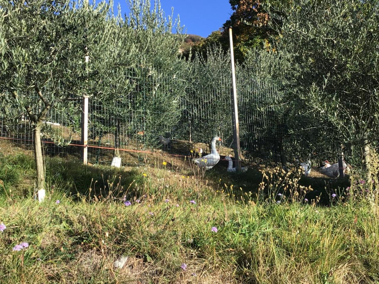 Agriturismo Al Robale Almenno San Bartolomeo Εξωτερικό φωτογραφία